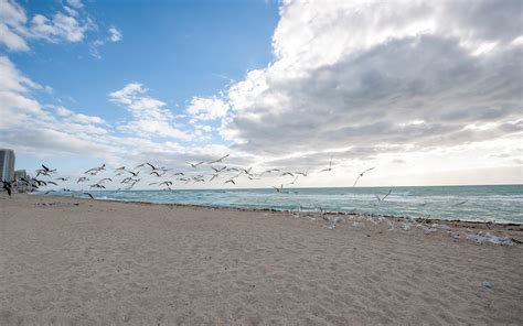 voyeuristic beach|With my camera at Haulover beach .